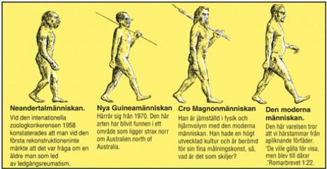 Neandertalmänniskan: Vid den internationella zoologkonferensen 1958 konstaterades att man vid den första rekonstruktionen märkte att det var en fråga om en äldre man som led av ledgångsreumatism. Nya Guineamänniskan
Härrör sig från 1970. Den här arten har blivit funnen i ett område som ligger strax norr om Australien. Cro Magnonmänniskan: Han är jämställd i fysik och hjärnvolym med den moderna människan. Han hade en högt utvecklad kultur och är berömd för sin fina målningskonst, så vad är det som skiljer? Den moderna människan: Den här varelsen tror att vi härstammar från apliknande förfäder. ’De ville gälla för visa men blev till dårar’ Romarbrevet 1:22