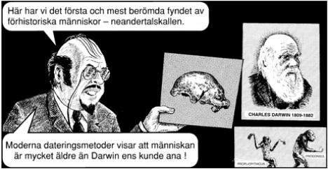 Läraren: Här har vi det första och mest berömda fyndet av förhistoriska människor - neandertalskallen. Moderna dateringsmetoder visar att människan är mycket äldre än Darwin ens kunde ana!