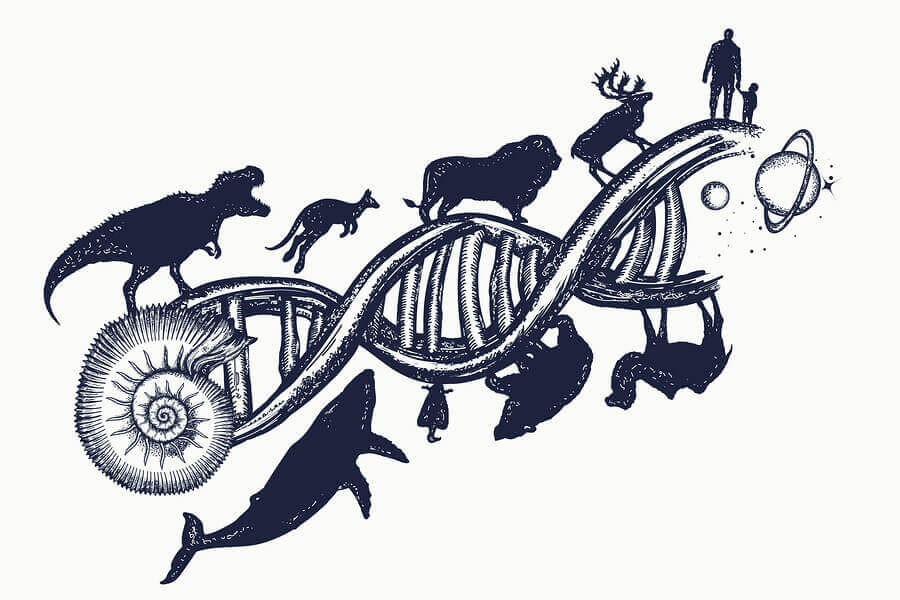Djur och människor placerade utmed en DNA-spiral