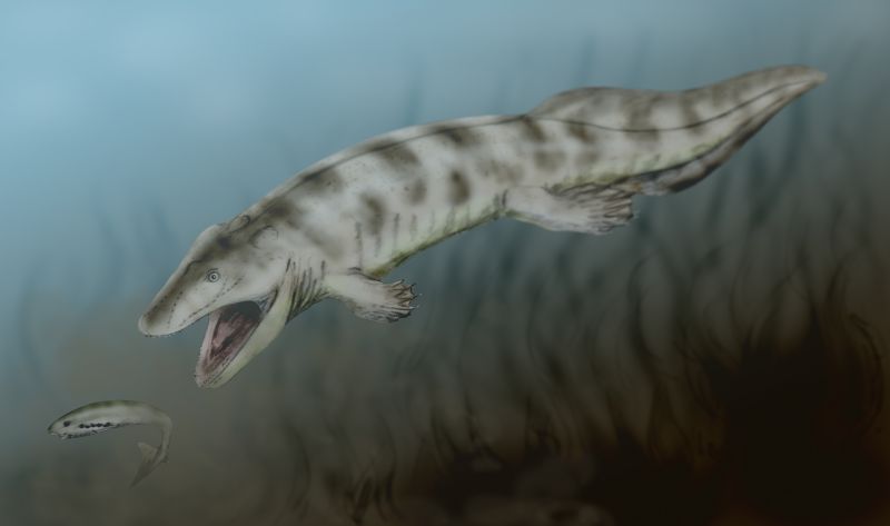Rekonstruktion av Ventastega, iskliknande tetrapod, fyrfotat djur