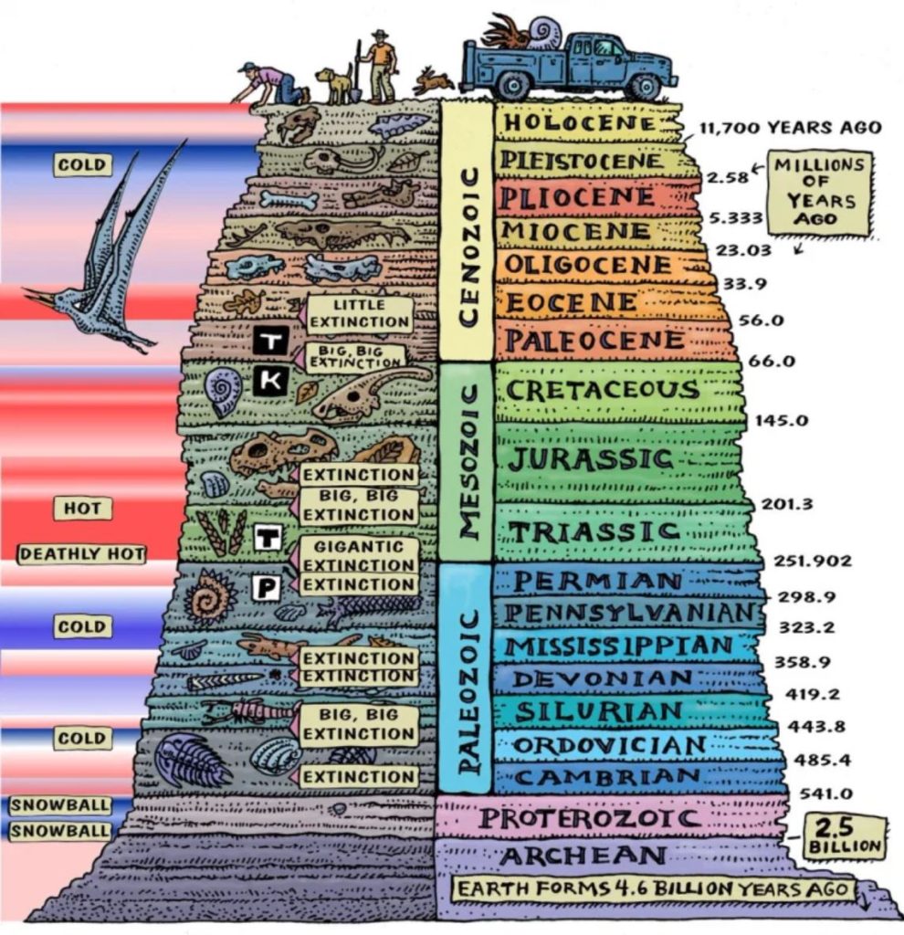 Den geologiska kolumnen